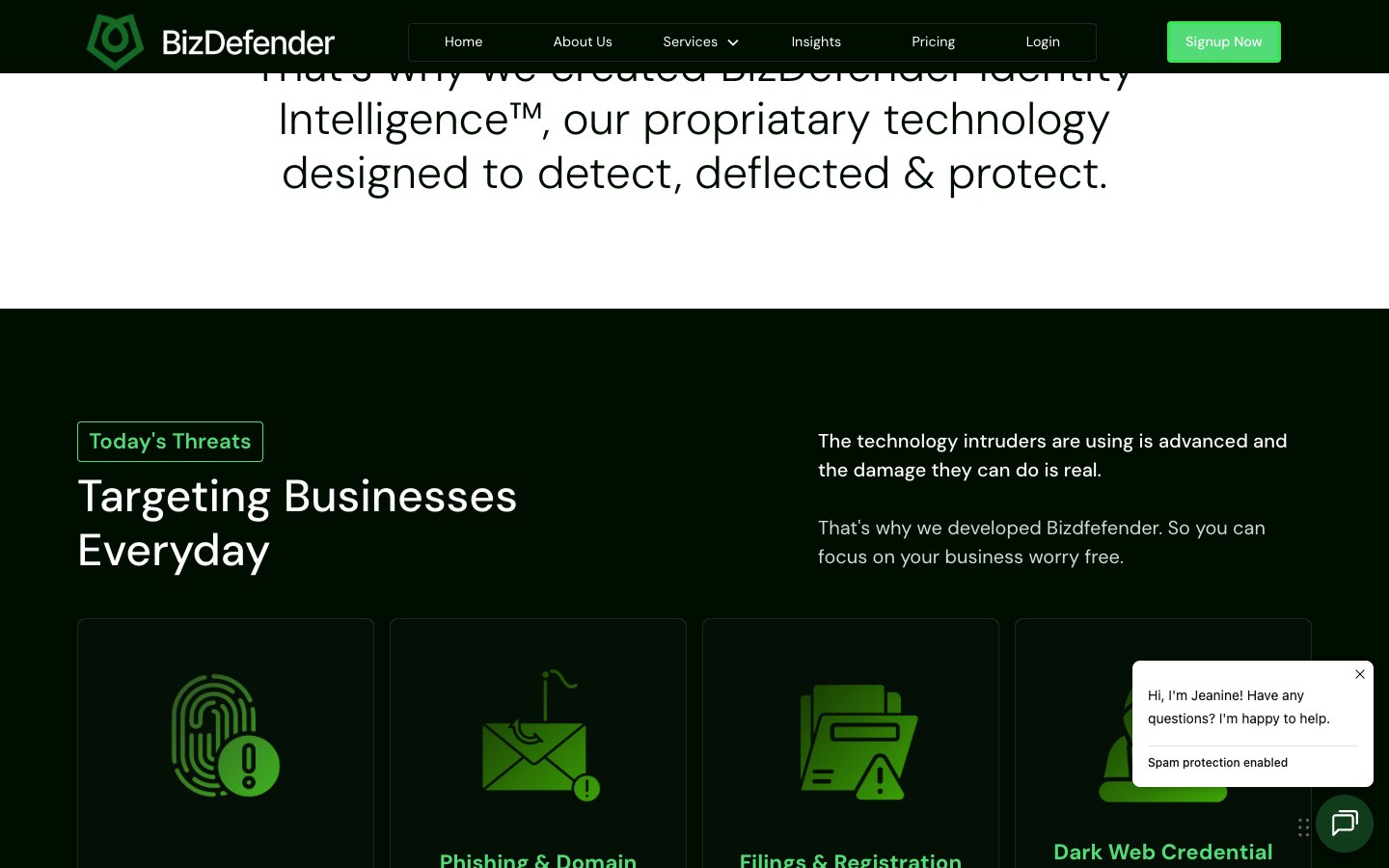 BizDefender — Fraud protection website built by Devdwell