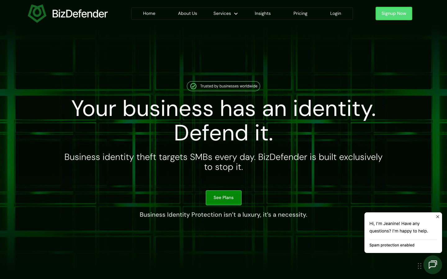 Screenshot of the BizDefender website